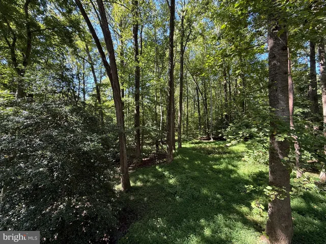 $2,950 | 100 Aquia Creek Road, Stafford, VA 22554