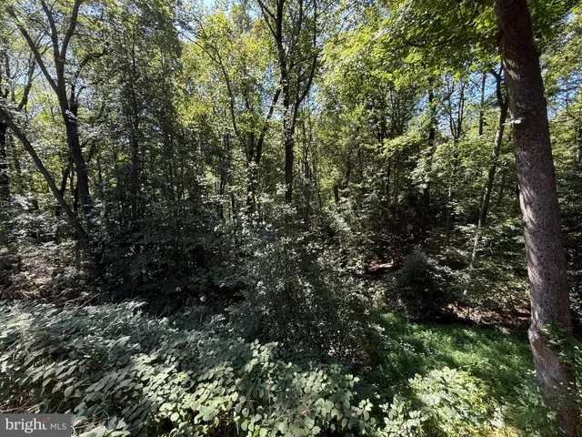 $2,950 | 100 Aquia Creek Road, Stafford, VA 22554