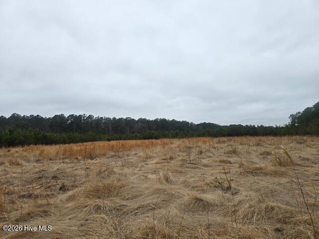 1334 Meeks Road Robersonville, NC 27871 - Photo 3 of 5 image2 (16)