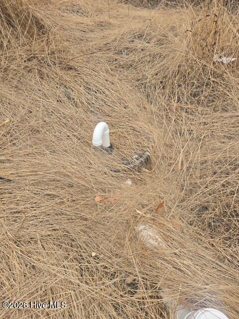 1334 Meeks Road Robersonville, NC 27871 - Photo 4 of 5 image3 (8)