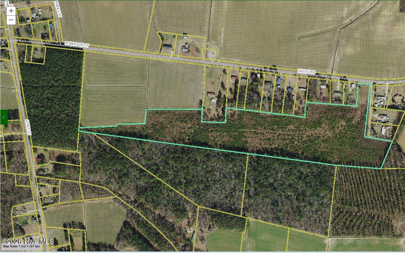 1334 Meeks Road Robersonville, NC 27871 - Photo 5 of 5 Screenshot 2026-03-03 194928