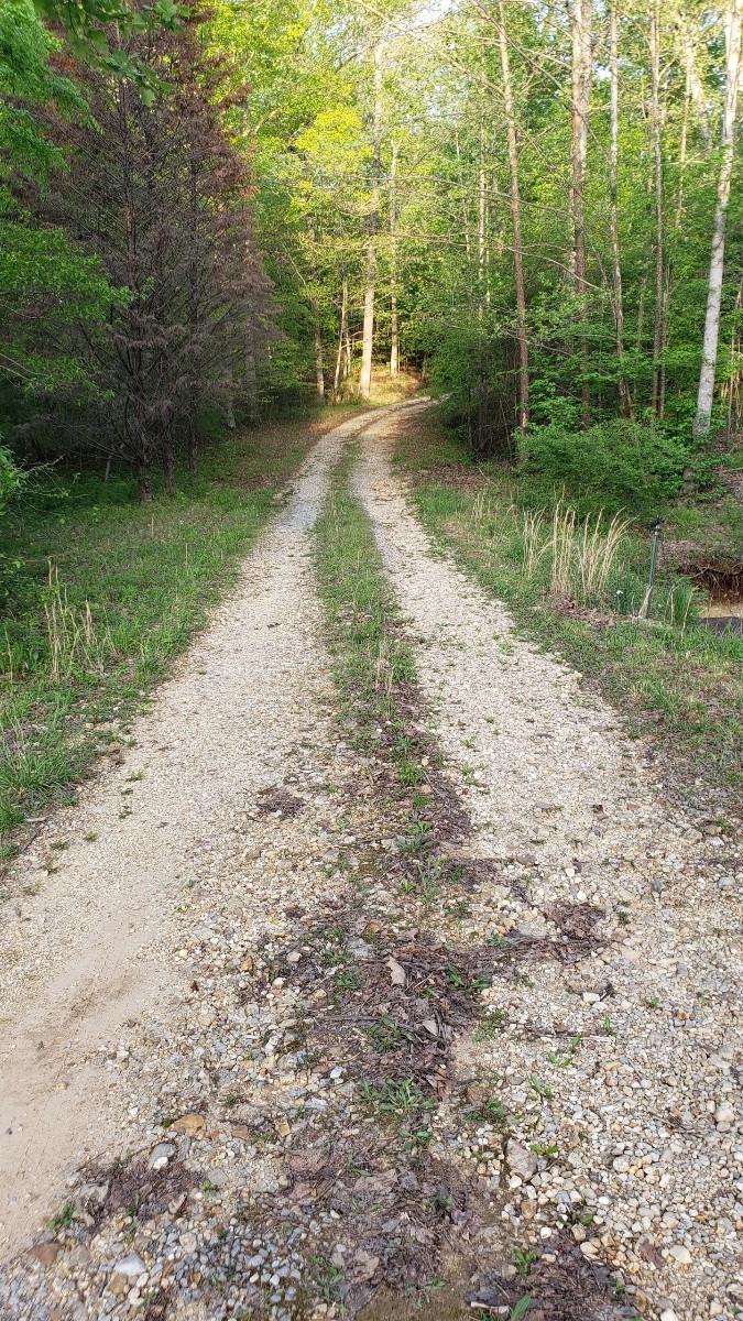 547 Grindstone Hollow Road Dickson, TN 37055 - Photo 28 of 68