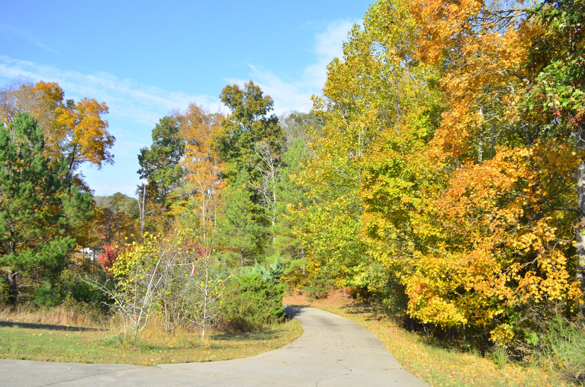 547 Grindstone Hollow Road Dickson, TN 37055 - Photo 29 of 68