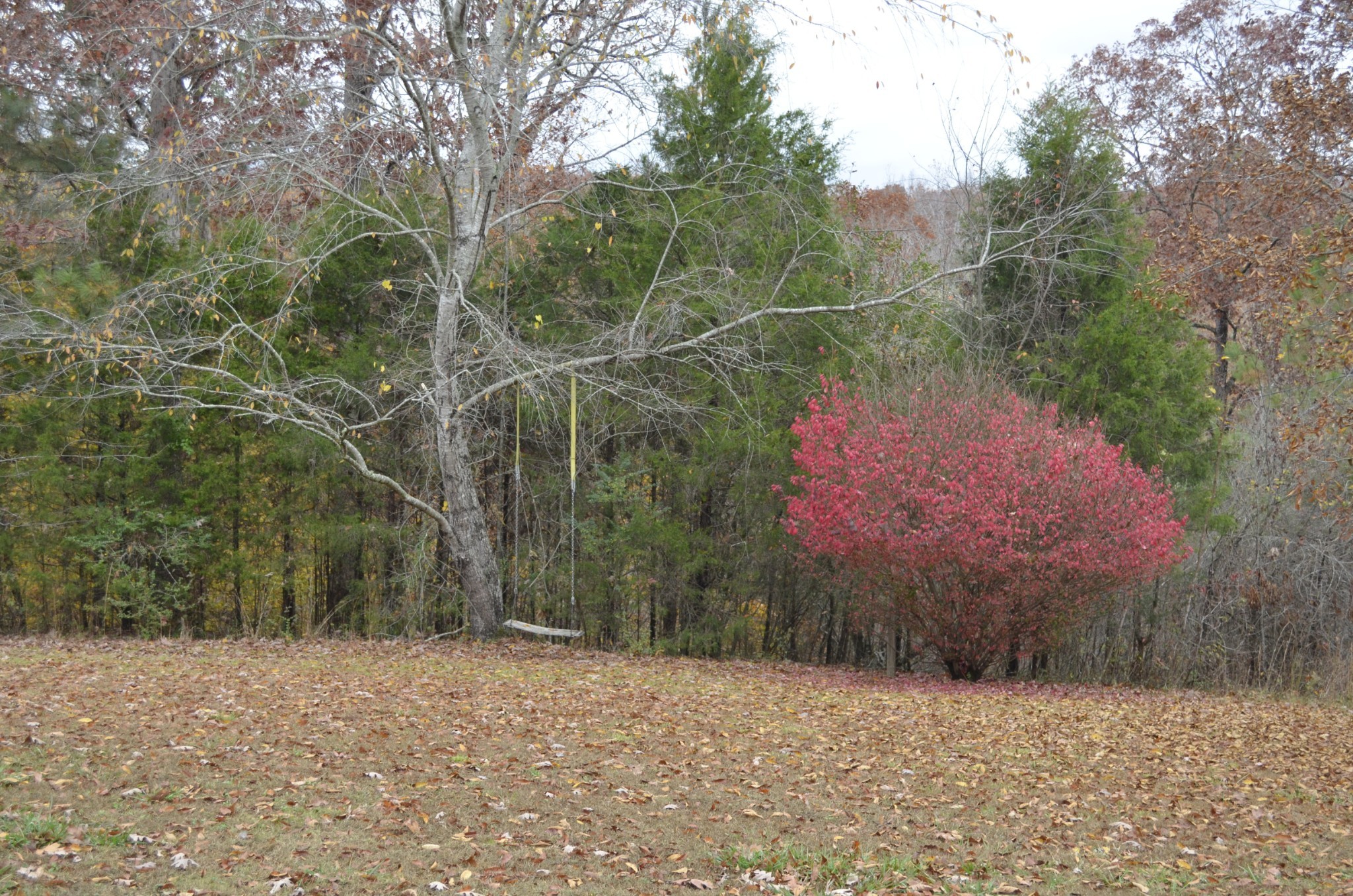 547 Grindstone Hollow Road Dickson, TN 37055 - Photo 30 of 68