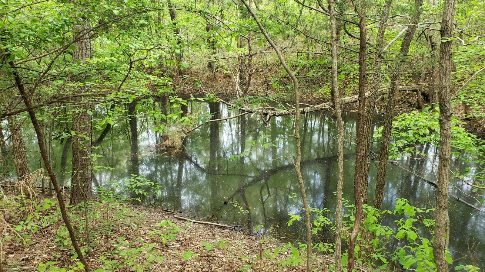 547 Grindstone Hollow Road Dickson, TN 37055 - Photo 31 of 68