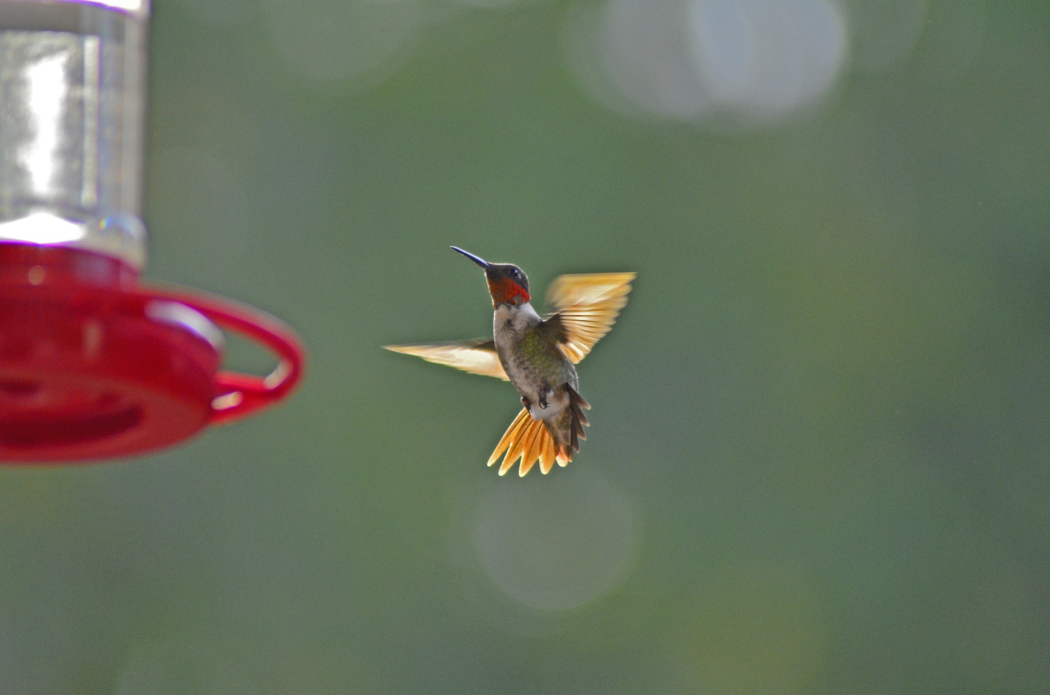 547 Grindstone Hollow Road Dickson, TN 37055 - Photo 34 of 68