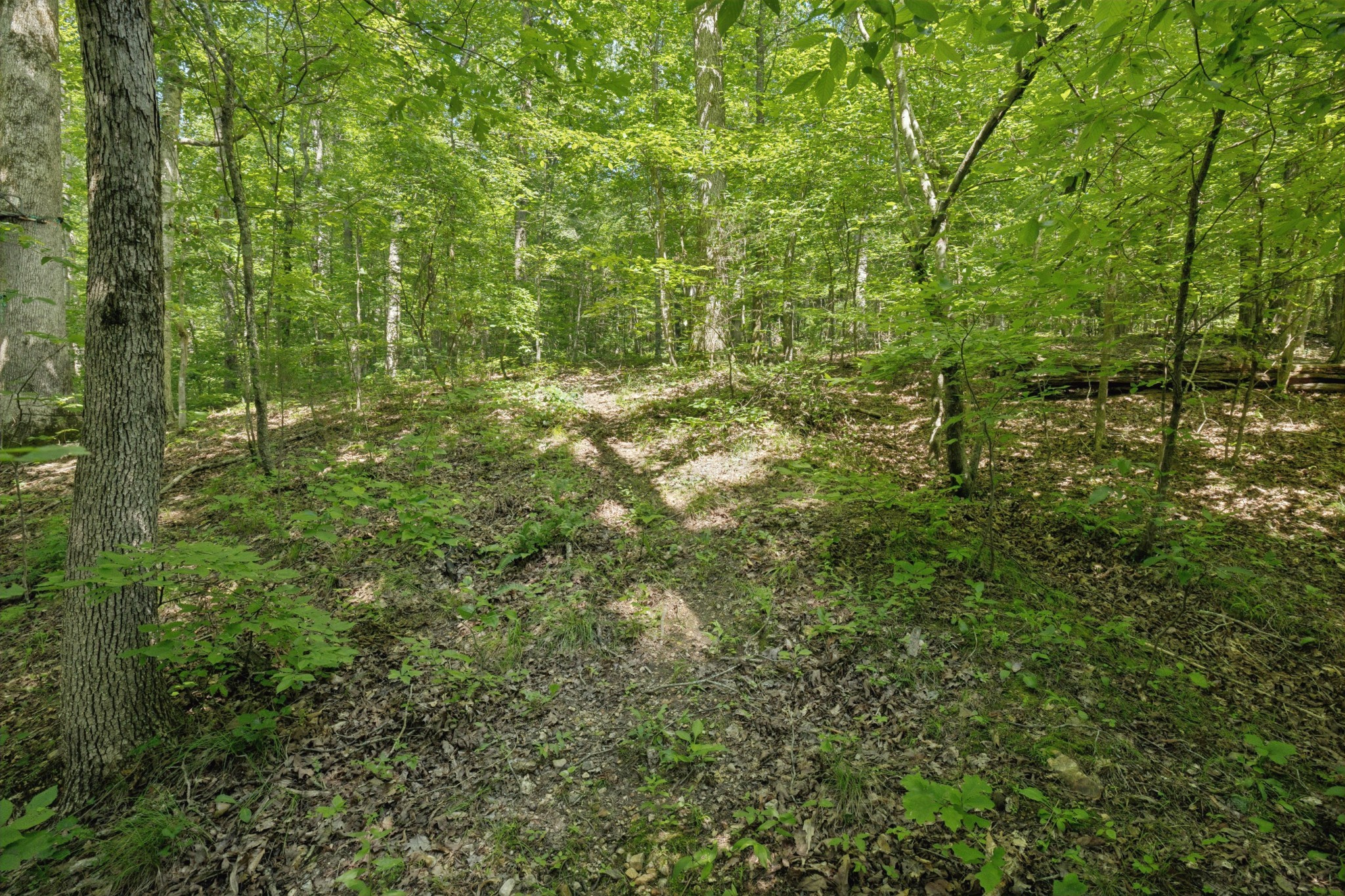 547 Grindstone Hollow Road Dickson, TN 37055 - Photo 42 of 68