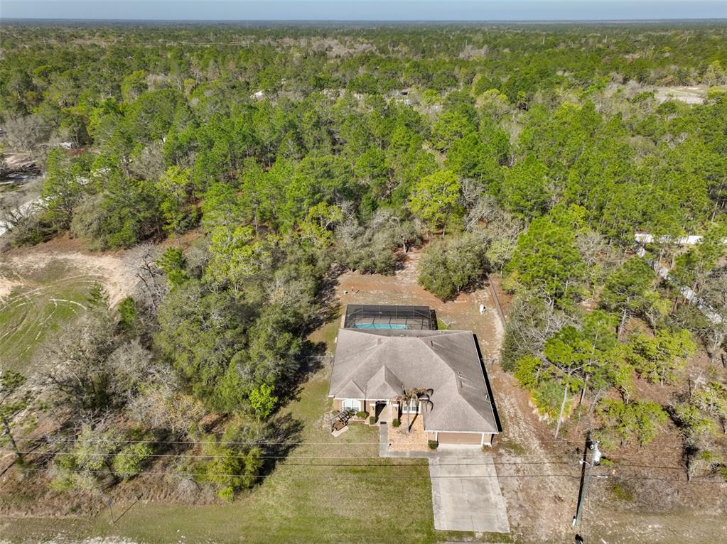 14261 English Sparrow Road Brooksville, FL 34614 - Photo 3 of 54