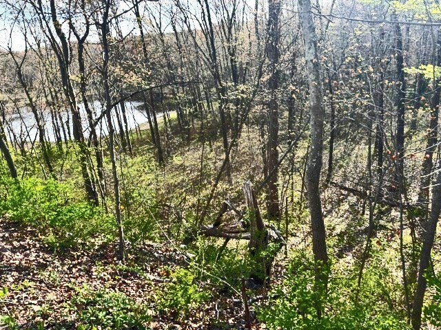 Lot 3 Gould Road Charlton, MA 01507 - Photo 2 of 5