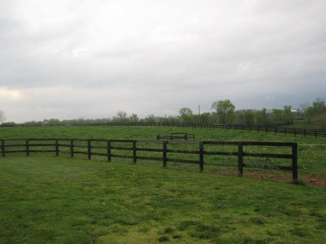 801 Hume Bedford Road Paris, KY 40361 - Photo 13 of 30 Photo 14