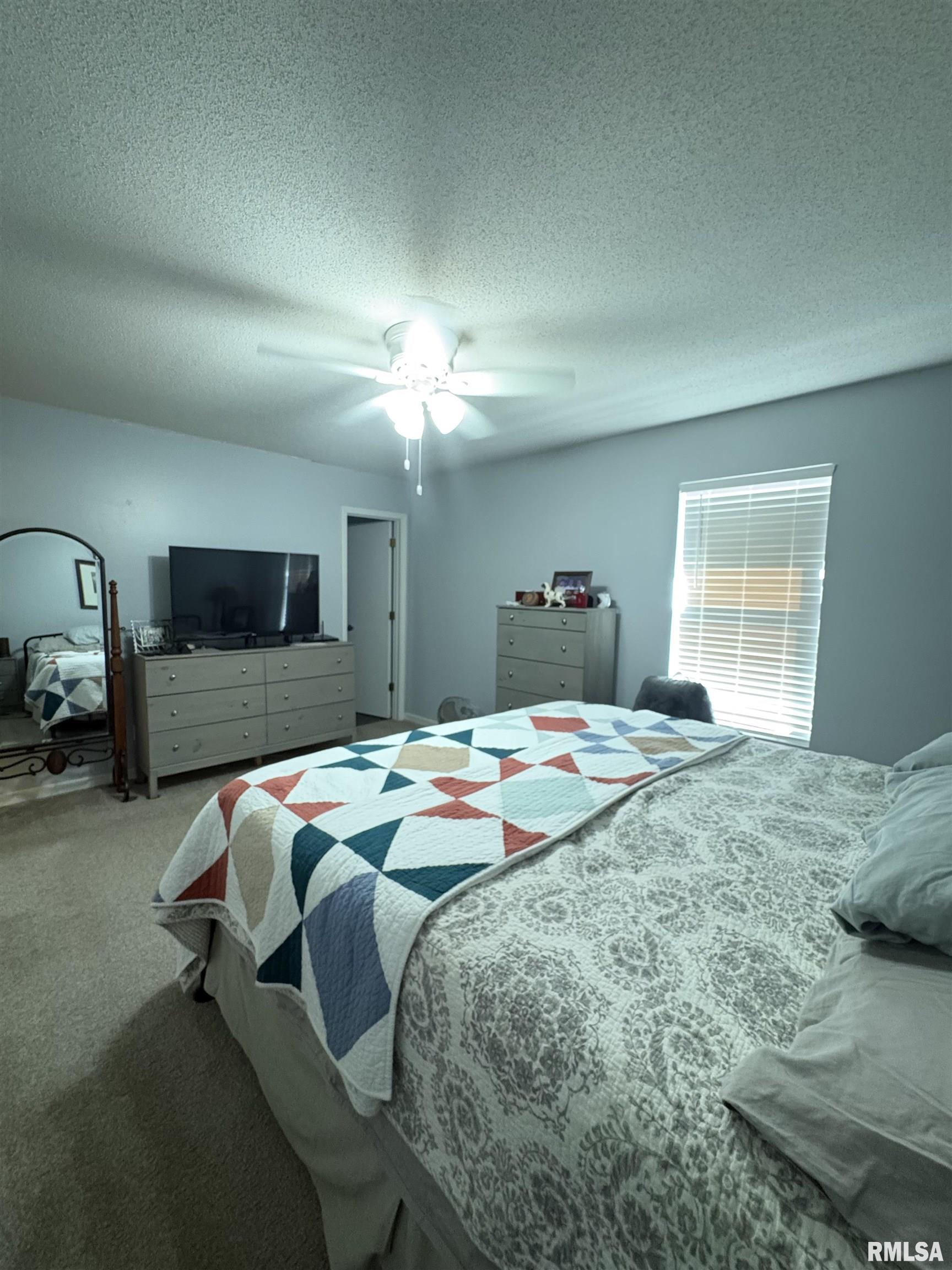 128 Volare Lane Springfield, IL 62703 - Photo 7 of 15