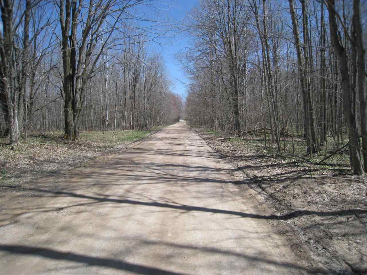 12852 Oakley Road Honor, MI 49640 - Photo 30 of 31 1783949-31.JPG