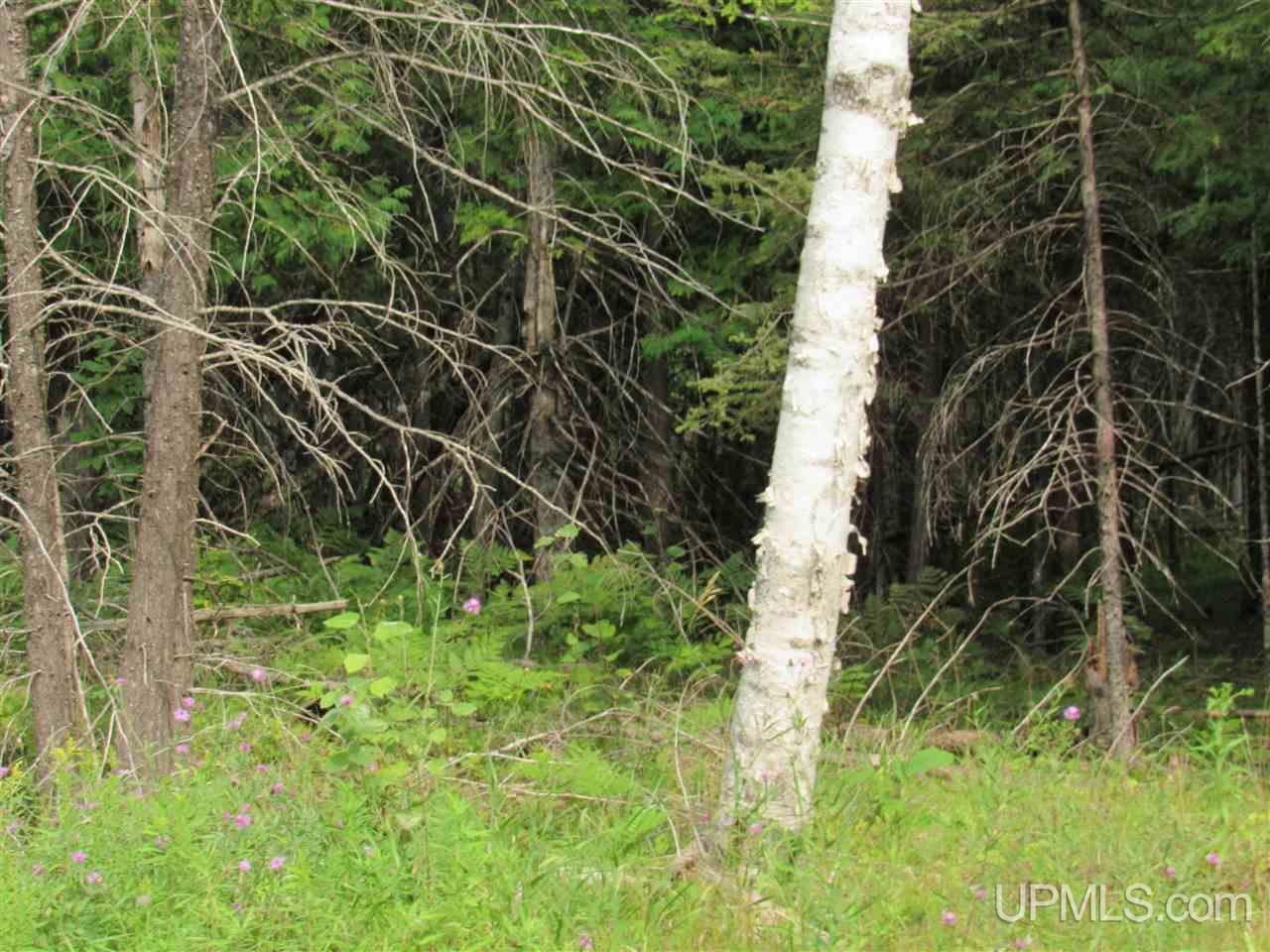 M69 And Shiversky Road Perronville, MI 49873 - Photo 5 of 16