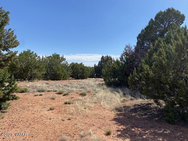 3538 Mill View Road Heber, AZ 85928 - Photo 24 of 26 Gallery Image 24