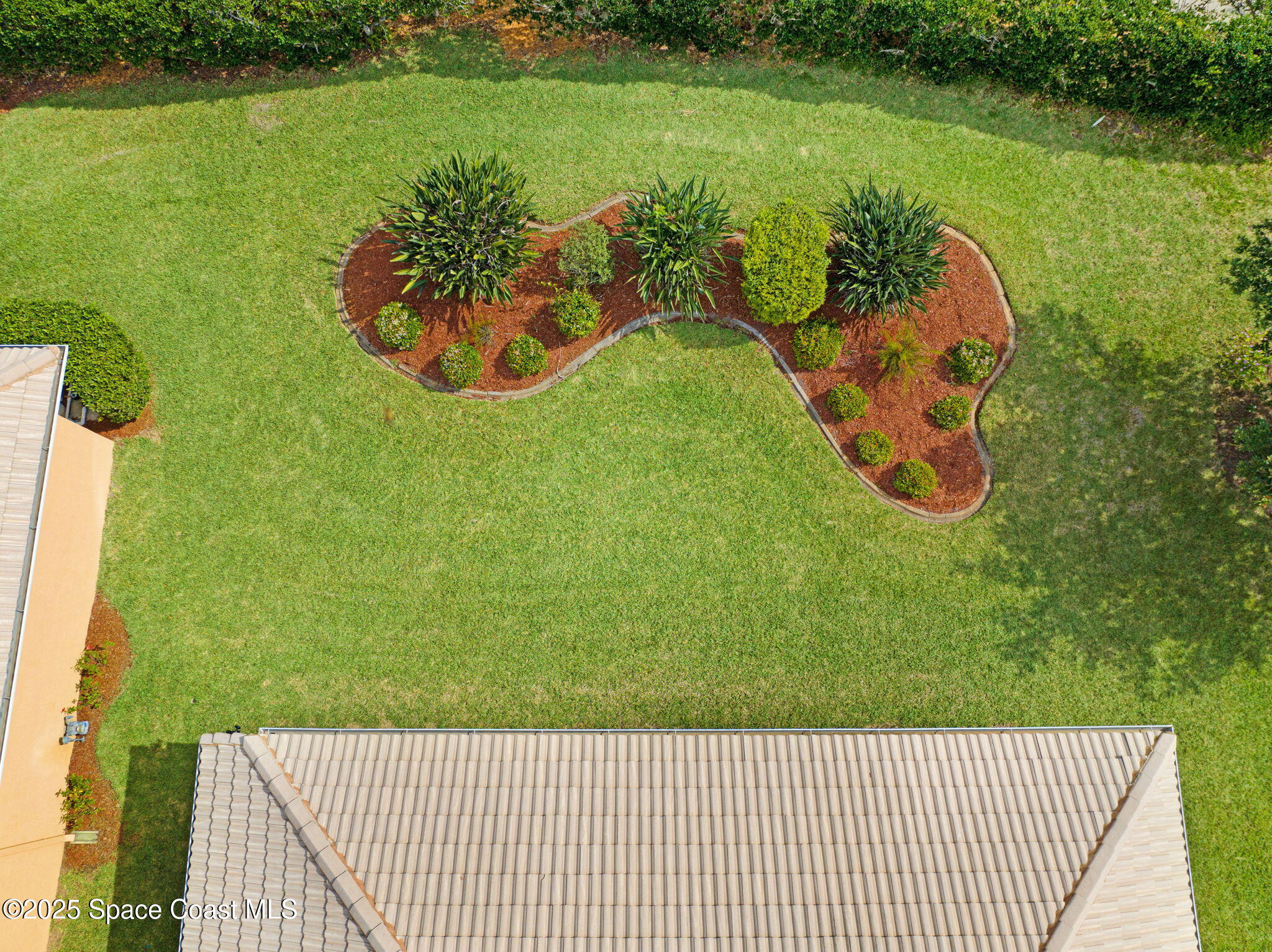 507 Royston Lane Melbourne, FL 32940 - Photo 8 of 52 a view of a swimming pool with a garden