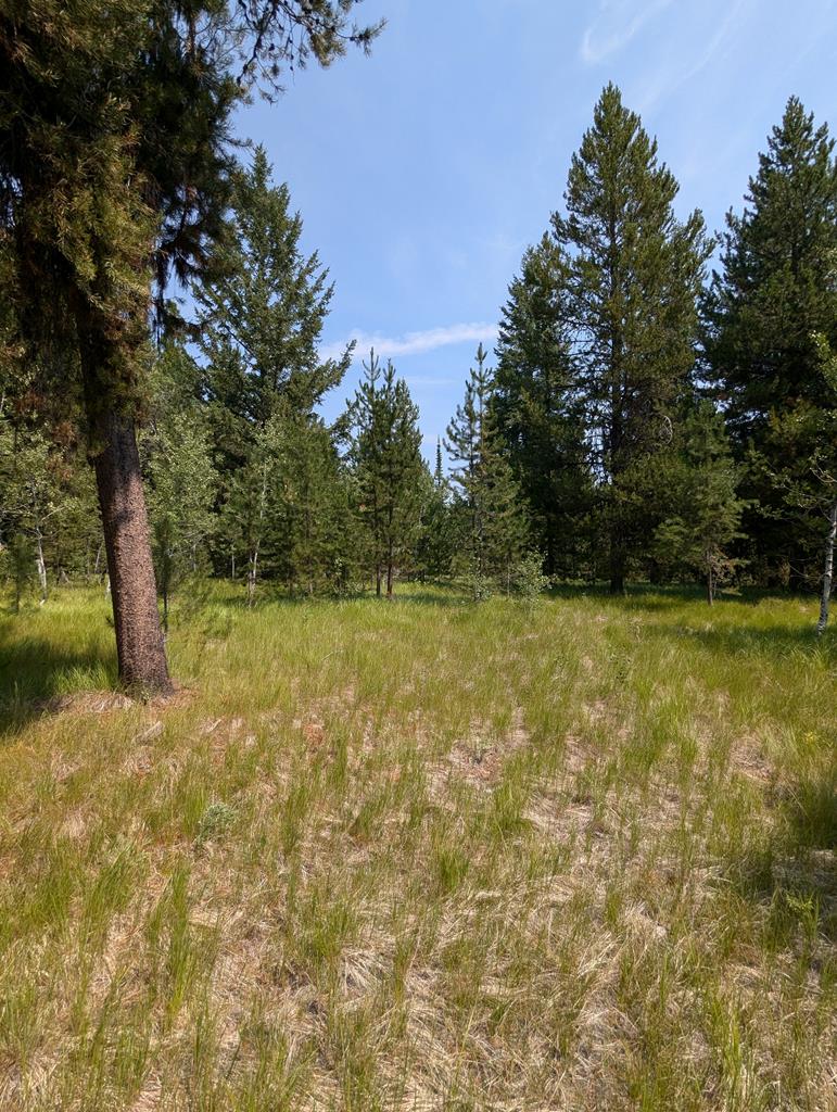 32 Thunderbolt Place, Unit 79 McCall, ID 83638 - Photo 11 of 12