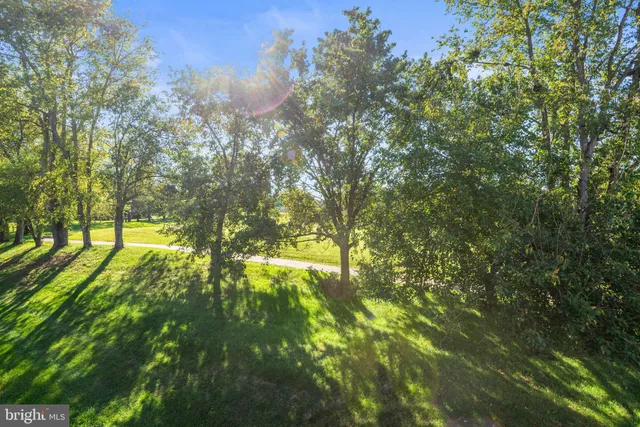 a view of a chairs in wooden deck