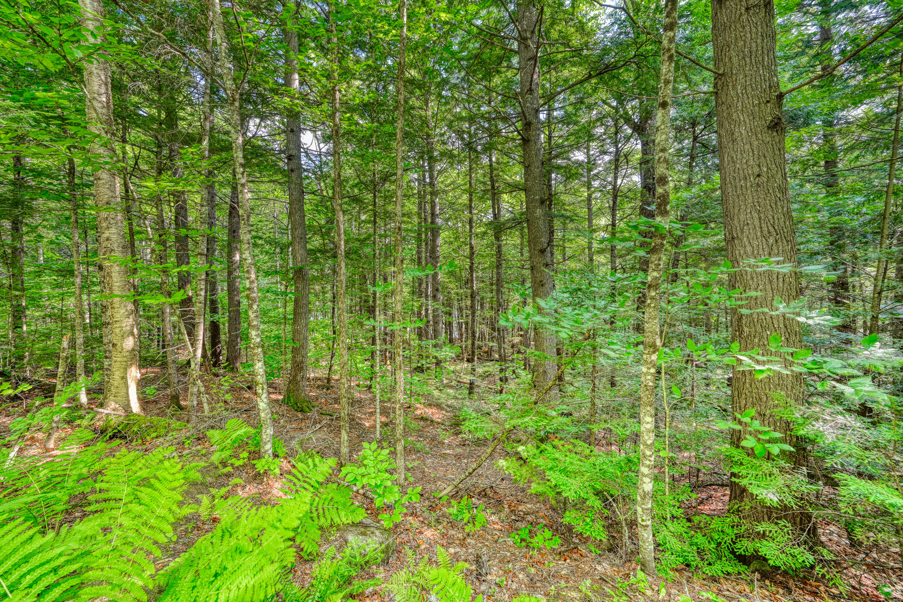 Lot 39 Tims Cove Road Willimantic, ME 04443 - Photo 17 of 17 110091gr-116