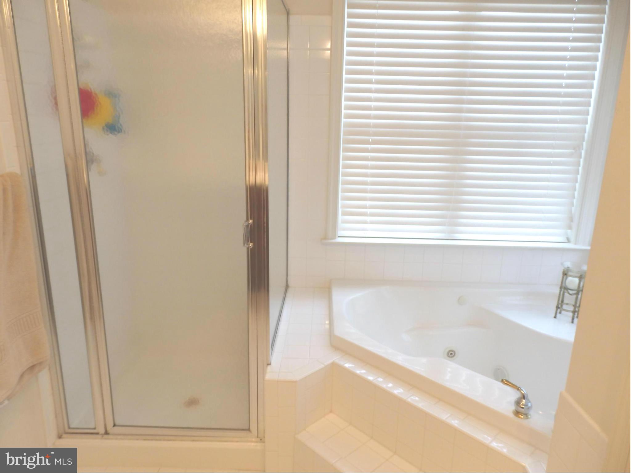 2629 Monocacy Ford Road Frederick, MD 21701 - Photo 19 of 30 Jetted tub or shower? You pick.