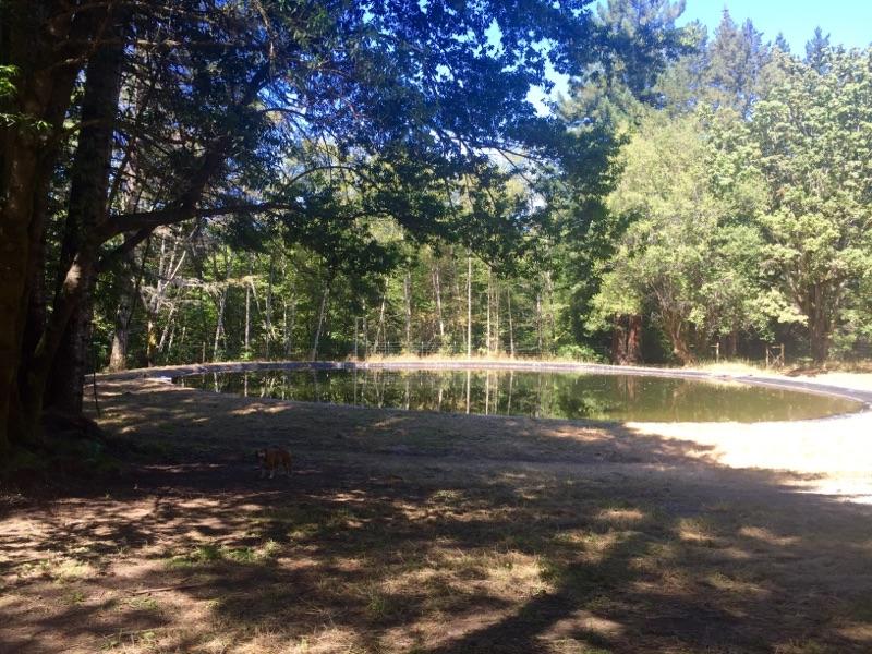 40-acres Liscom Hill Road Eureka, CA 95503 - Photo 6 of 8