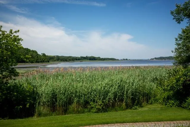 a view of a lake with houses in the background