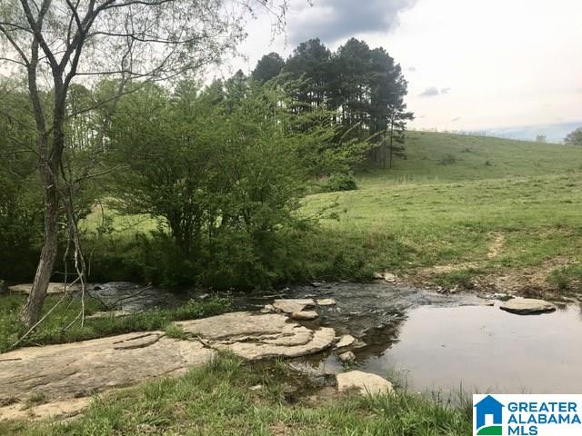 1241 Reneau Road Oneonta, AL 35121 - Photo 48 of 50