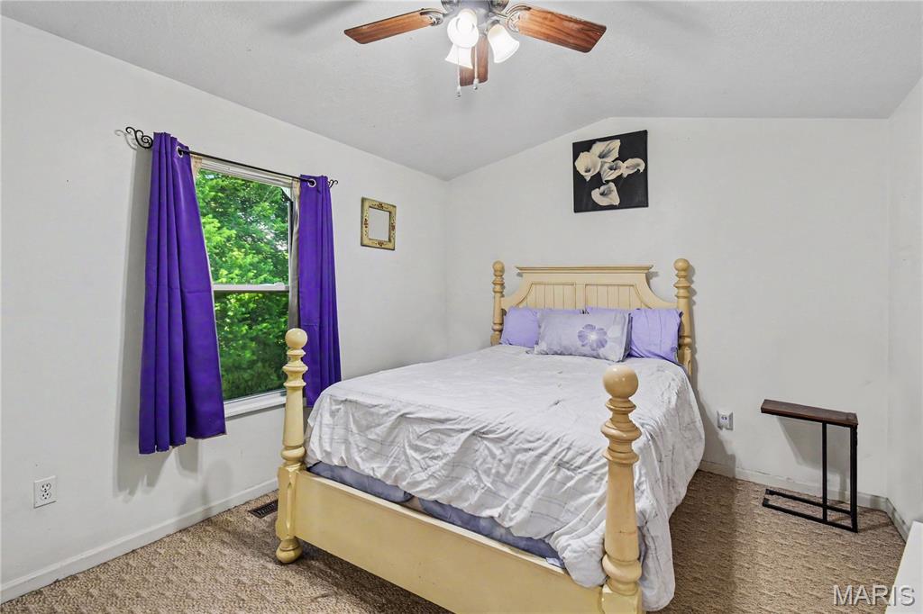 629 Locust Street Festus, MO 63028 - Photo 11 of 27
