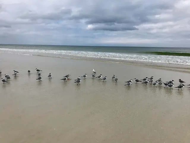 a view of a ocean view