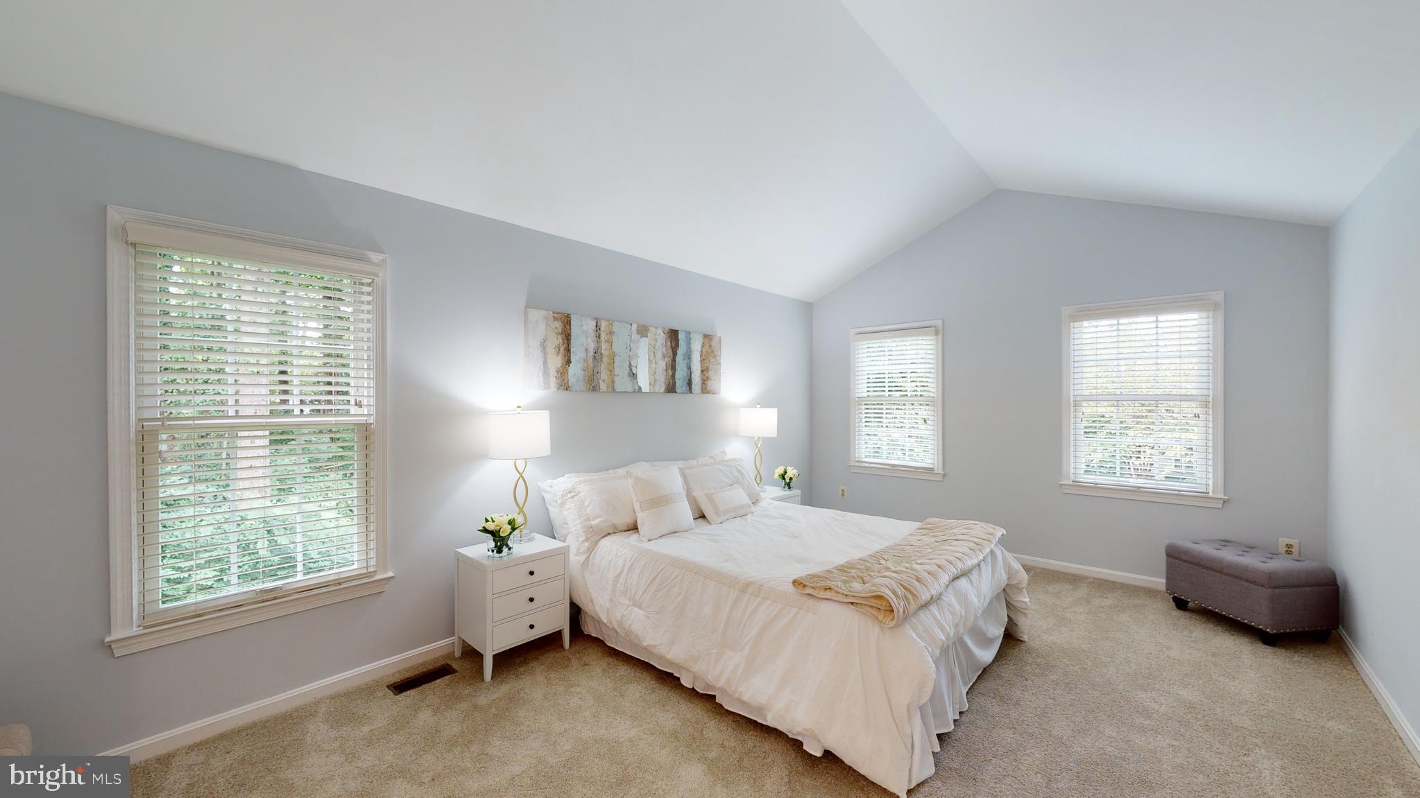 11609 Springhouse Place Reston, VA 20194 - Photo 12 of 41 Generous Sized Master Bedroom with Vaulted Ceiling