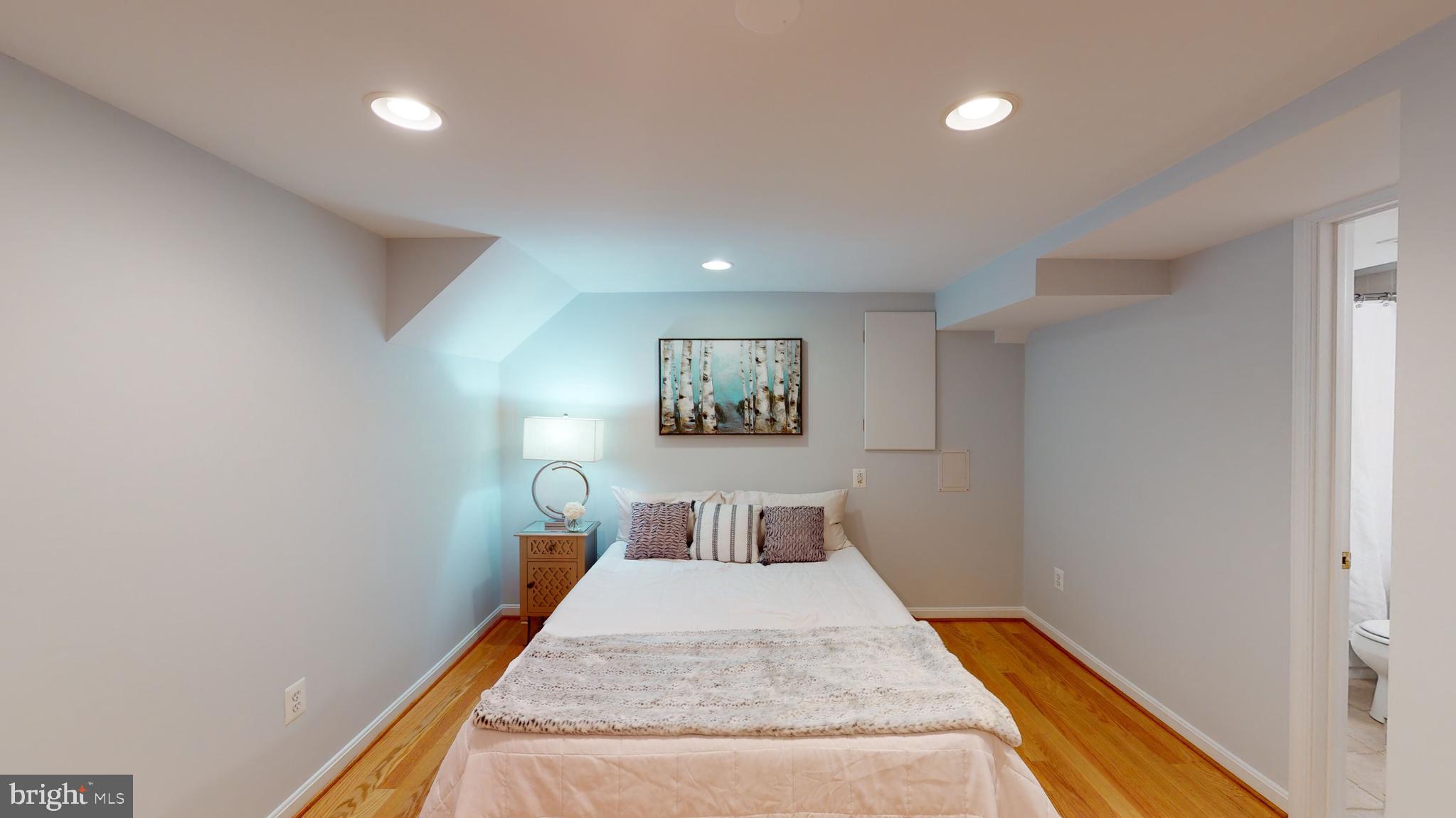 11609 Springhouse Place Reston, VA 20194 - Photo 24 of 41 Lower Level EnSuite Bonus Room.