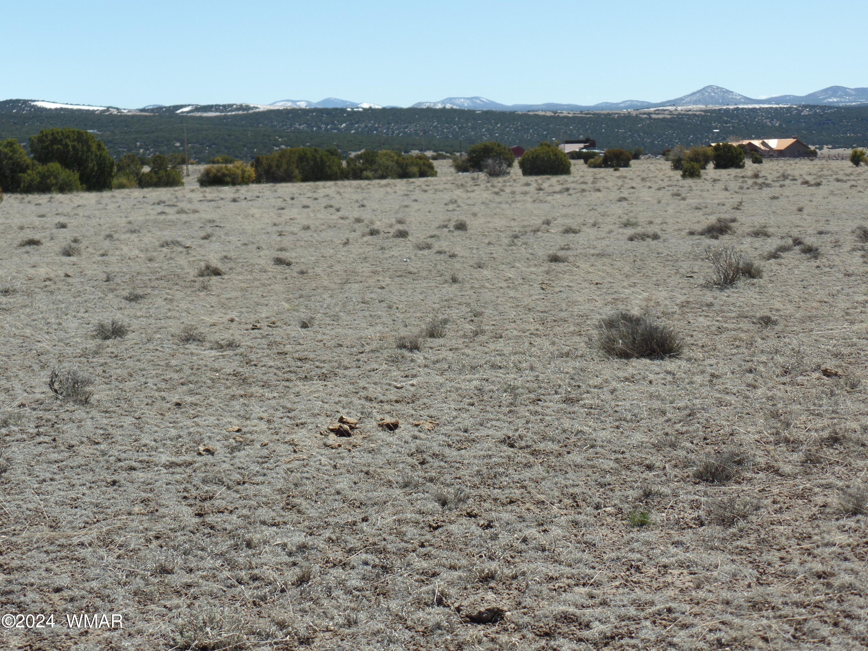13 T11n R23e :se4 Se4 Show Low, AZ 85901 - Photo 12 of 14