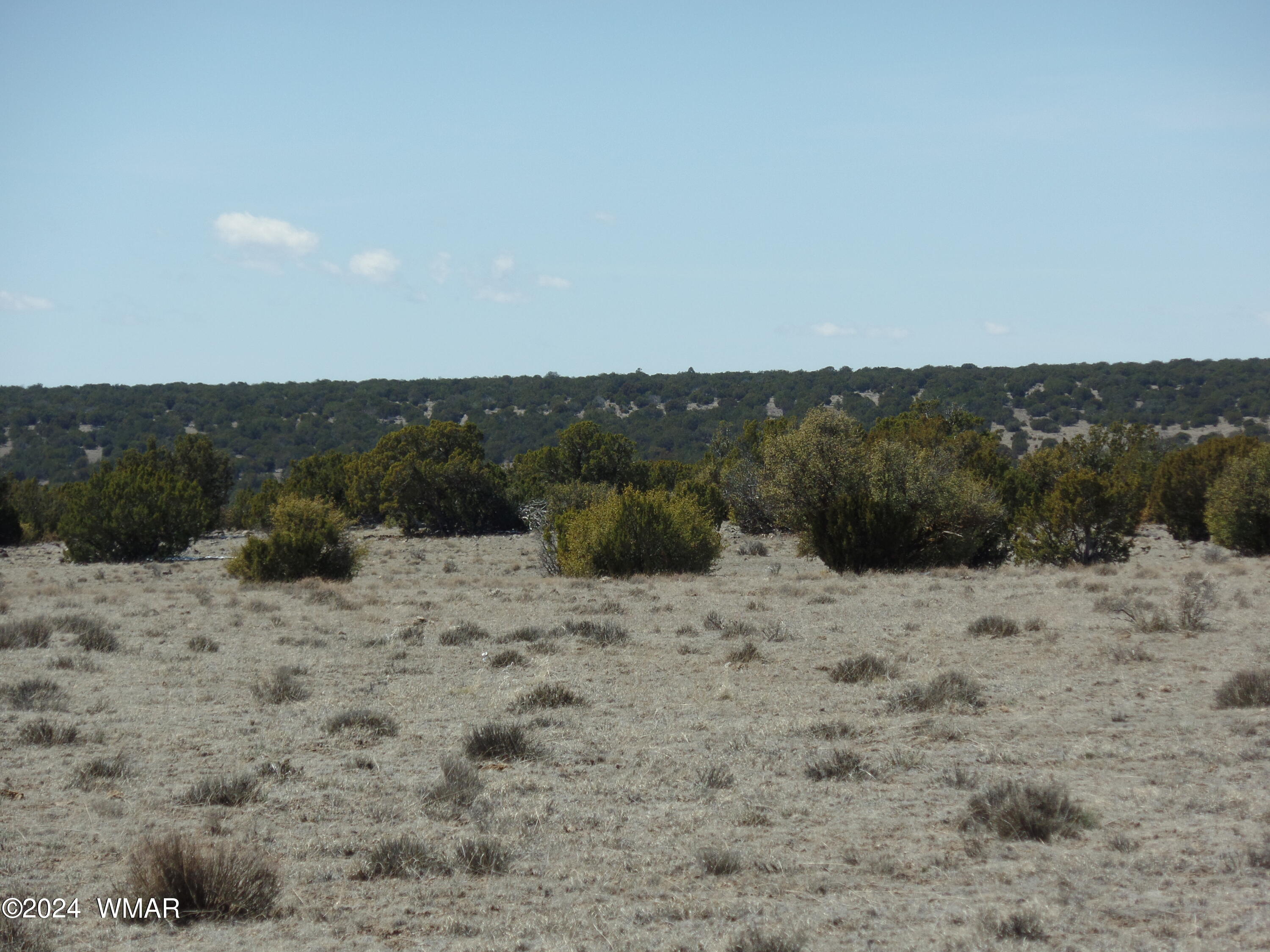 13 T11n R23e :se4 Se4 Show Low, AZ 85901 - Photo 3 of 14