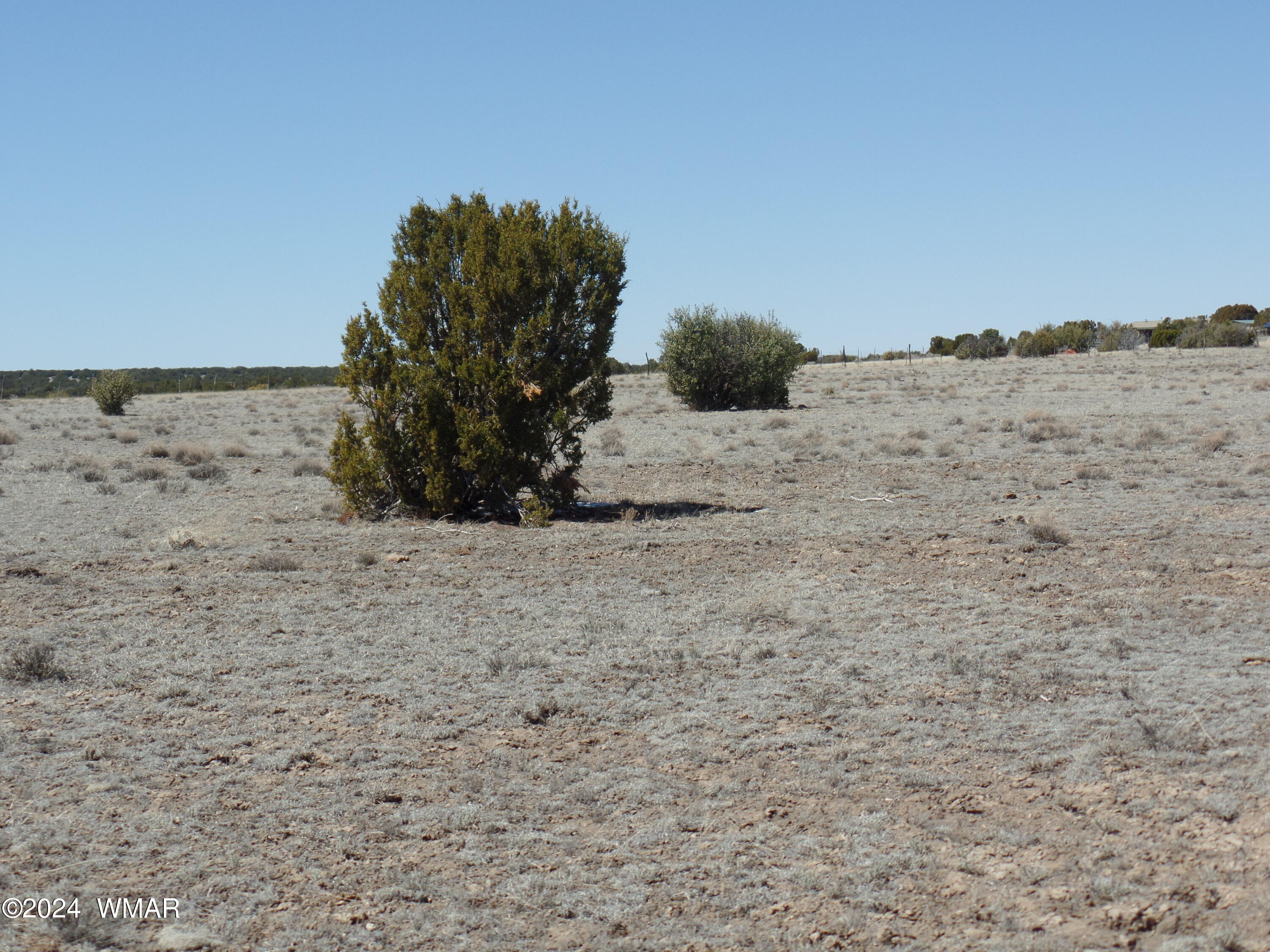 13 T11n R23e :se4 Se4 Show Low, AZ 85901 - Photo 5 of 14