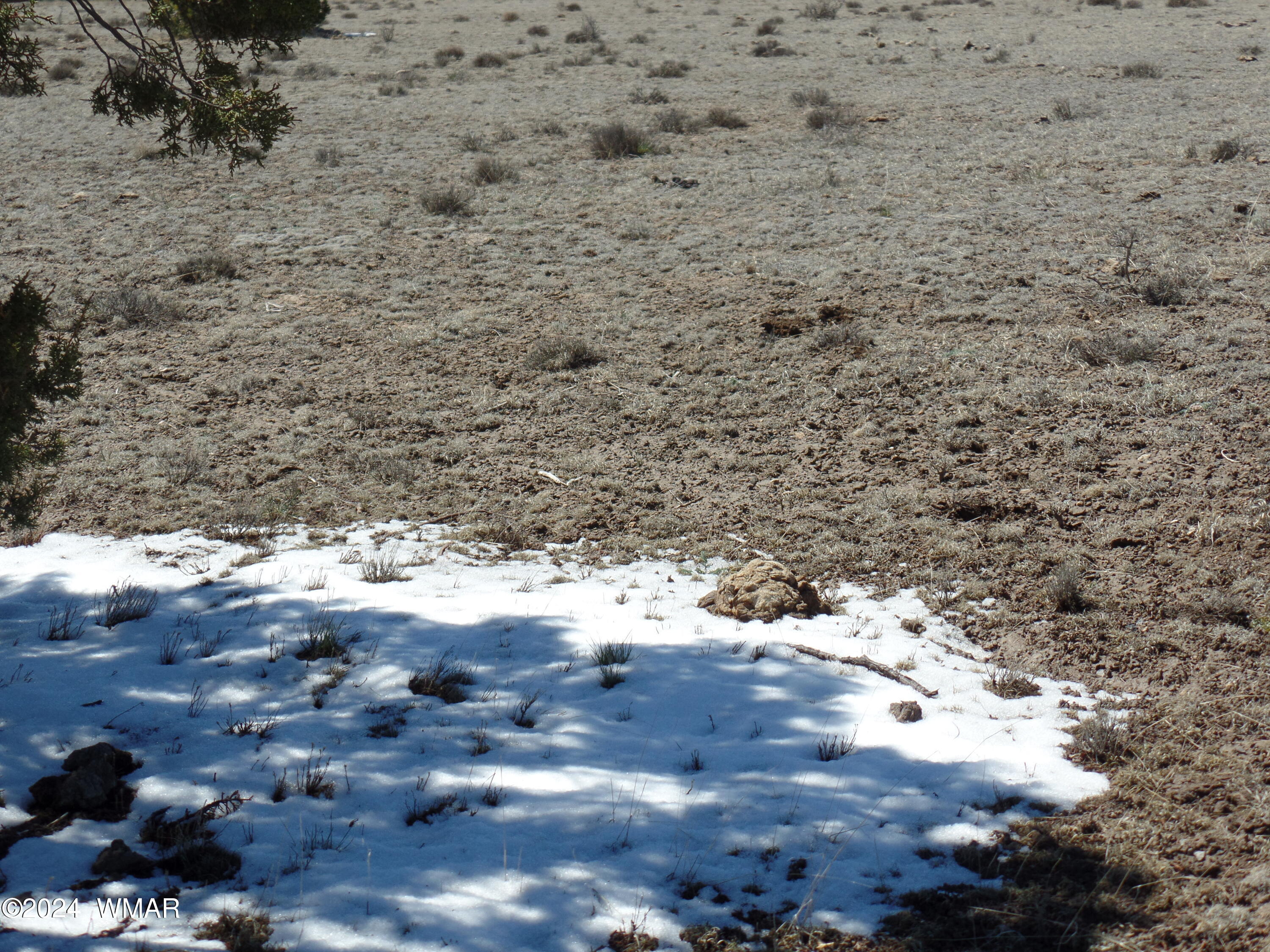 13 T11n R23e :se4 Se4 Show Low, AZ 85901 - Photo 7 of 14