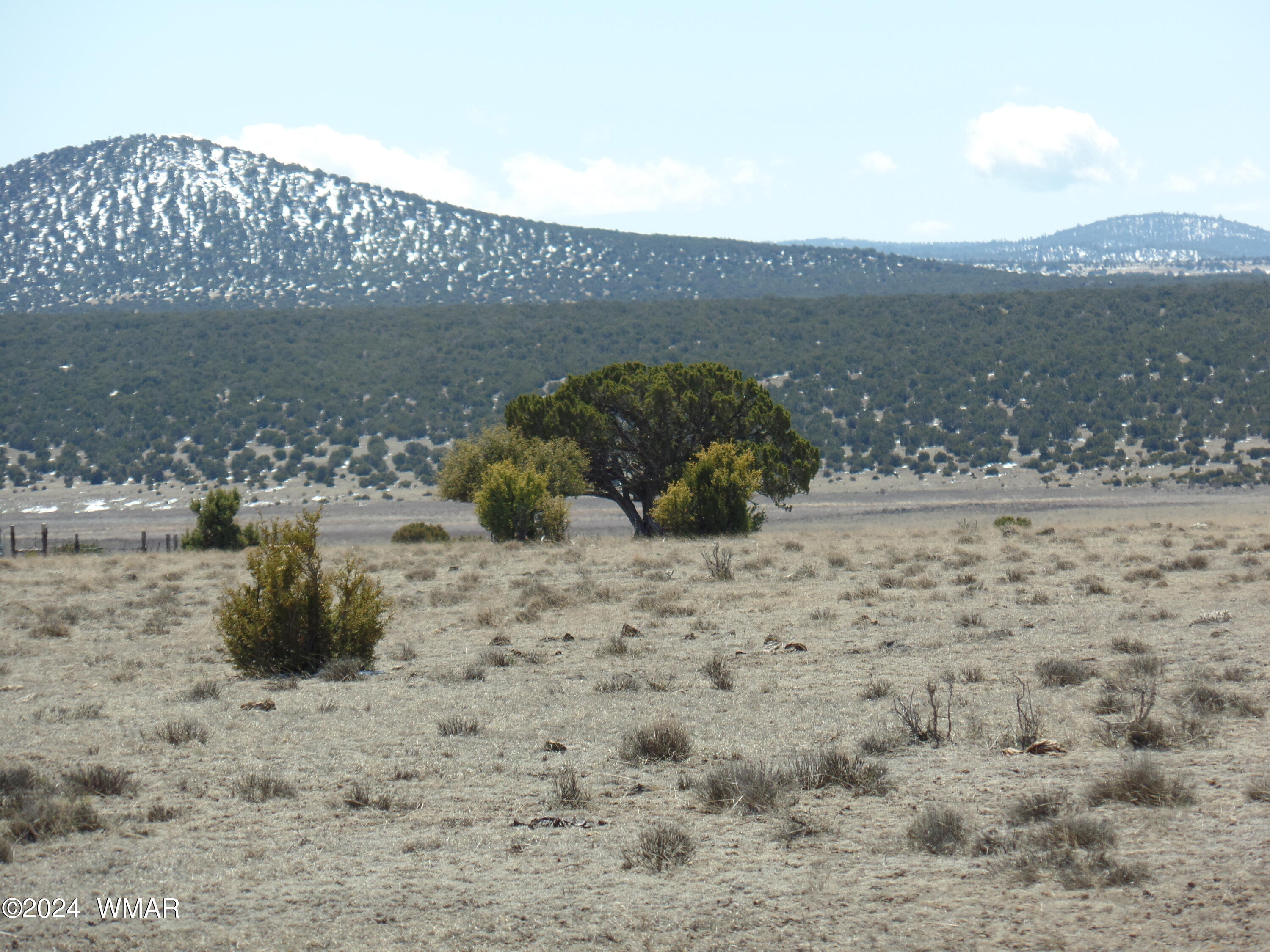 13 T11n R23e :se4 Se4 Show Low, AZ 85901 - Photo 8 of 14
