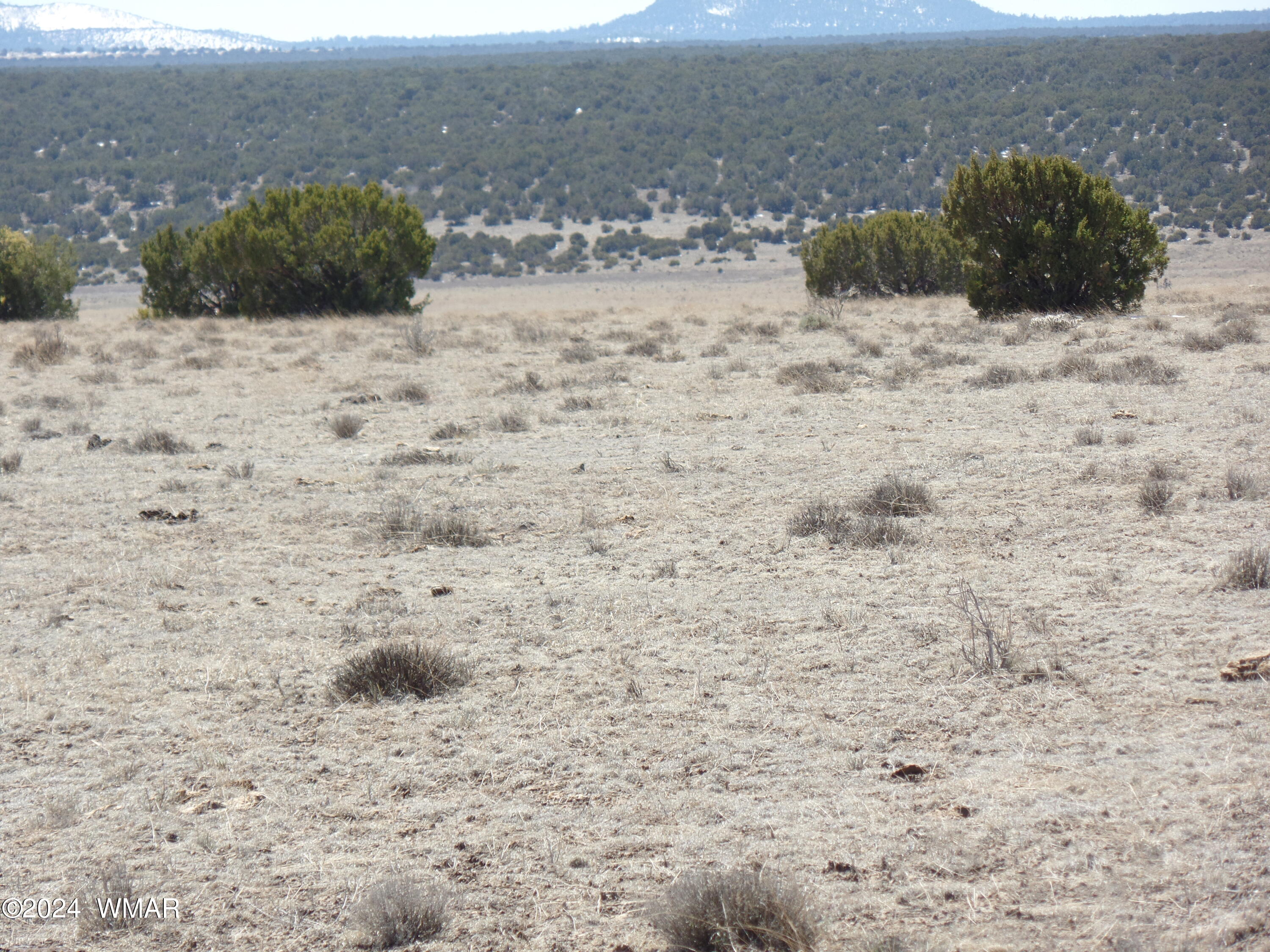 13 T11n R23e :se4 Se4 Show Low, AZ 85901 - Photo 10 of 14