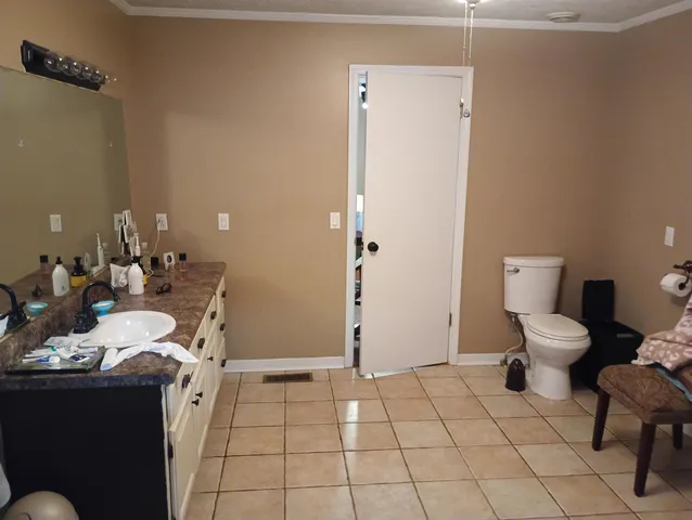 a room with furniture and a potted plant