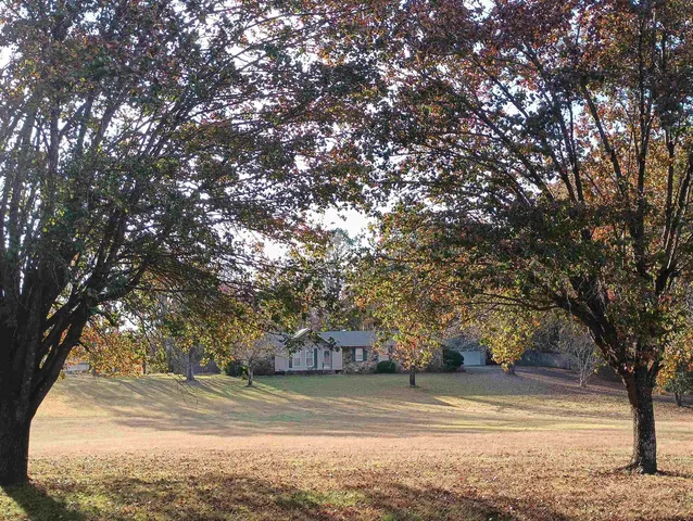 a view of a yard with large trees