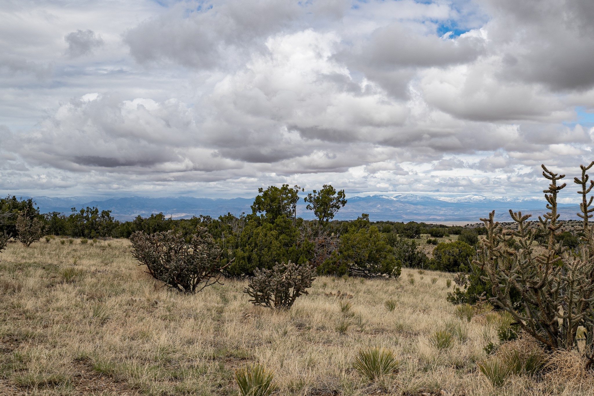 28 Cliff View Cerrillos, NM 87010 - Photo 33 of 33