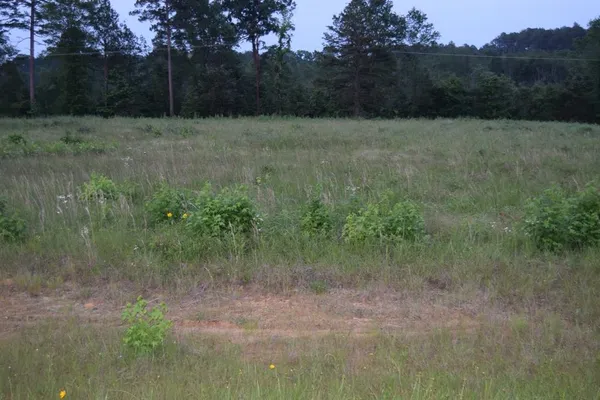 $59,900 | 6 B Ryan's Way, Minden, LA 71055