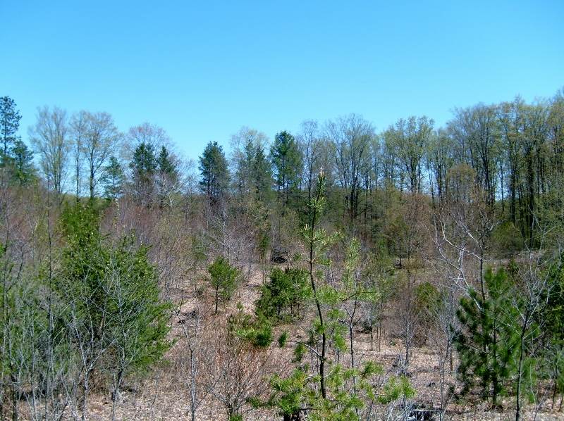 335 West Sharon Road Southeast Fife Lake, MI 49633 - Photo 91 of 99 1874973-90.JPG