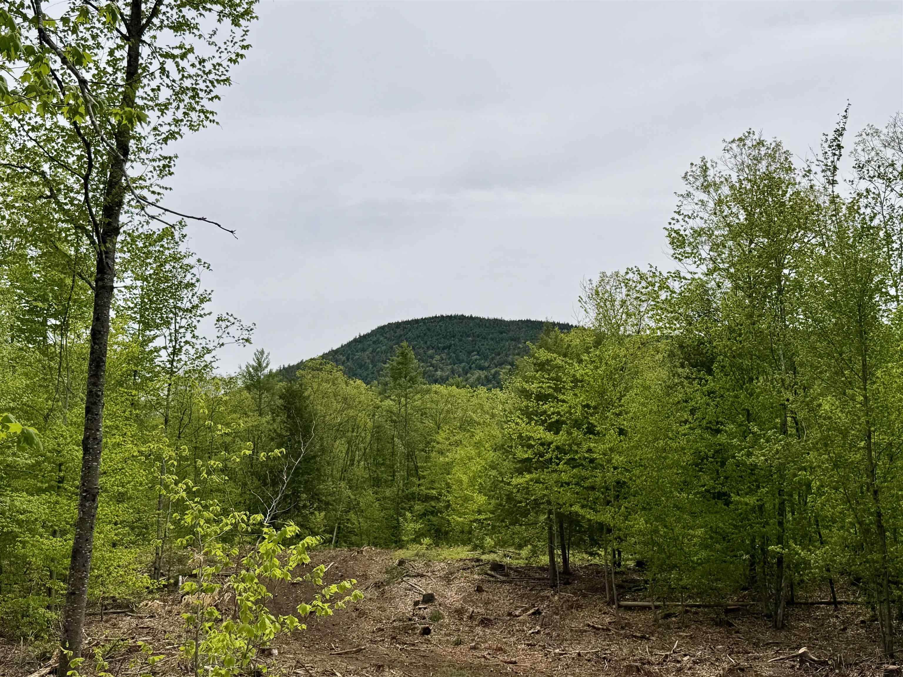 Lot 1 Whittier Road West Ossipee, NH 03890 - Photo 9 of 26