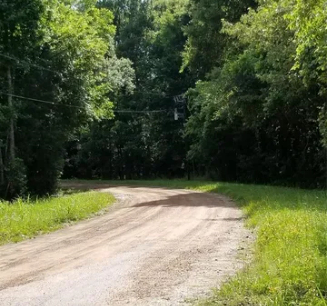 Tba Winding Creek Road Shepherd, TX 77371 - Photo 2 of 5 a view of a yard