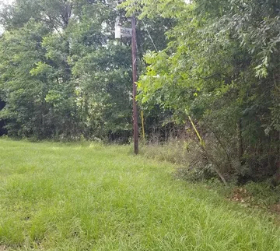Tba Winding Creek Road Shepherd, TX 77371 - Photo 3 of 5 a view of a yard with a tree