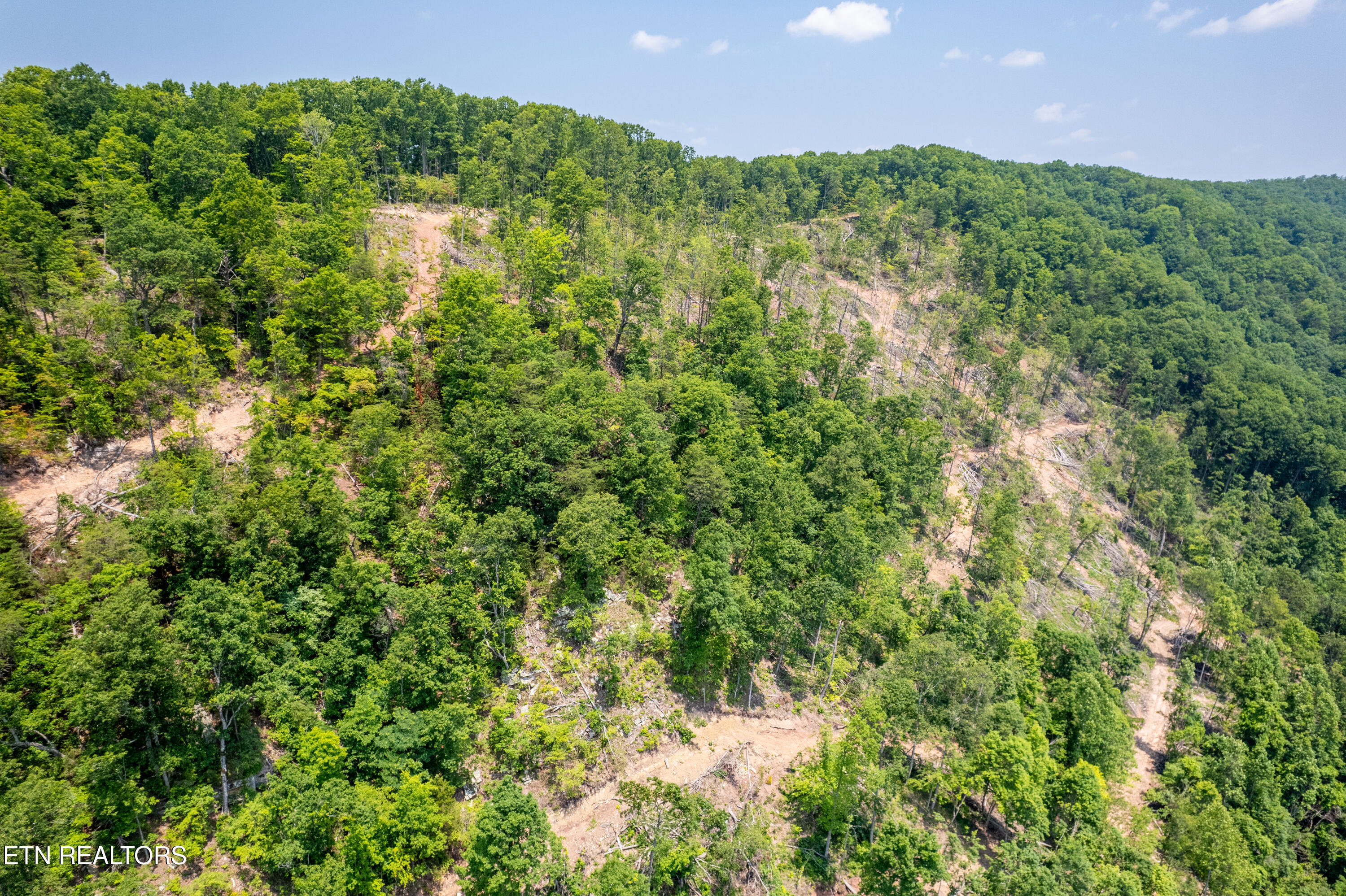 Beech Creek Road Rogersville, TN 37857 - Photo 20 of 35 BeechCreekRd-34
