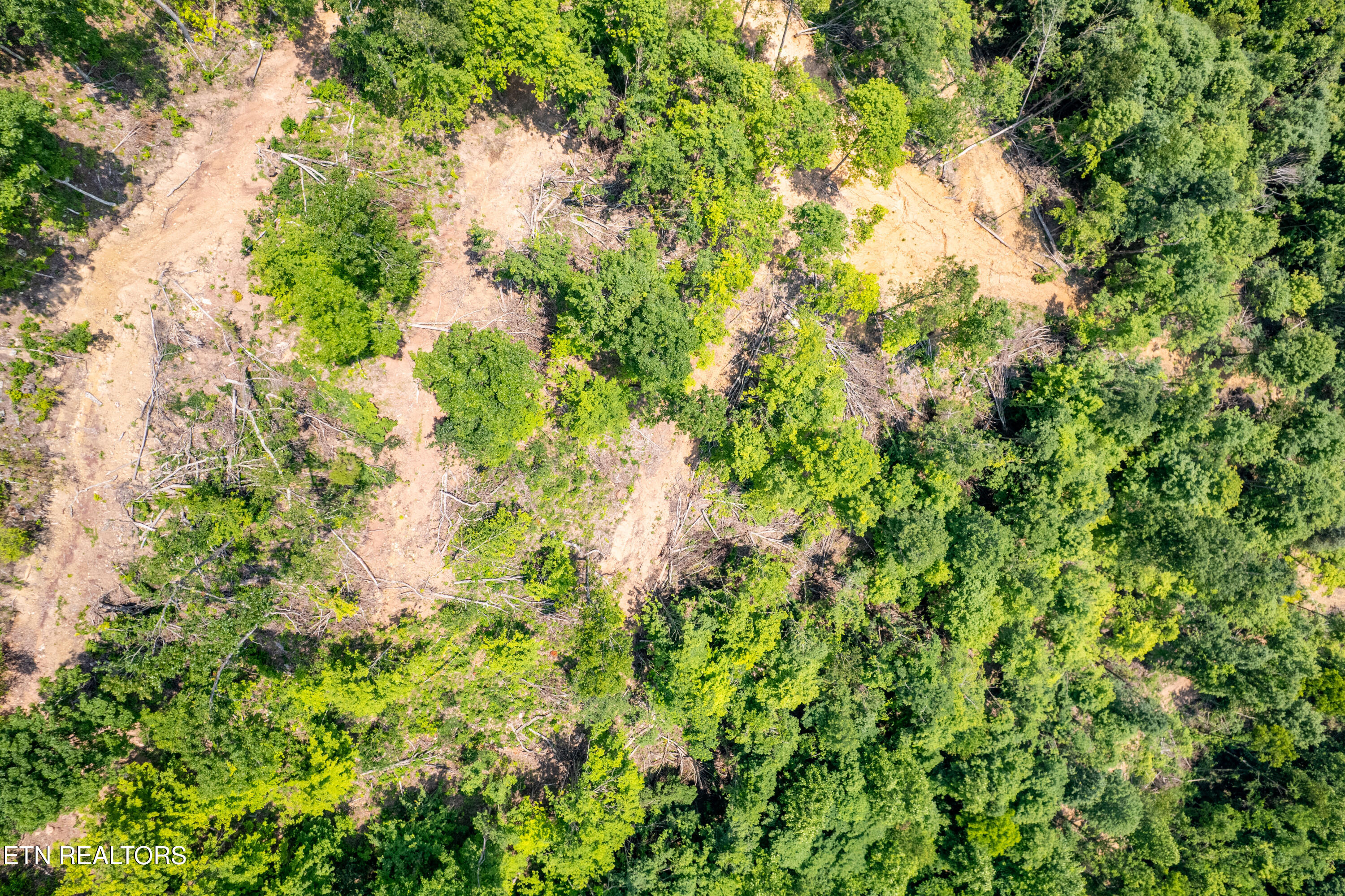 Beech Creek Road Rogersville, TN 37857 - Photo 21 of 35 BeechCreekRd-35