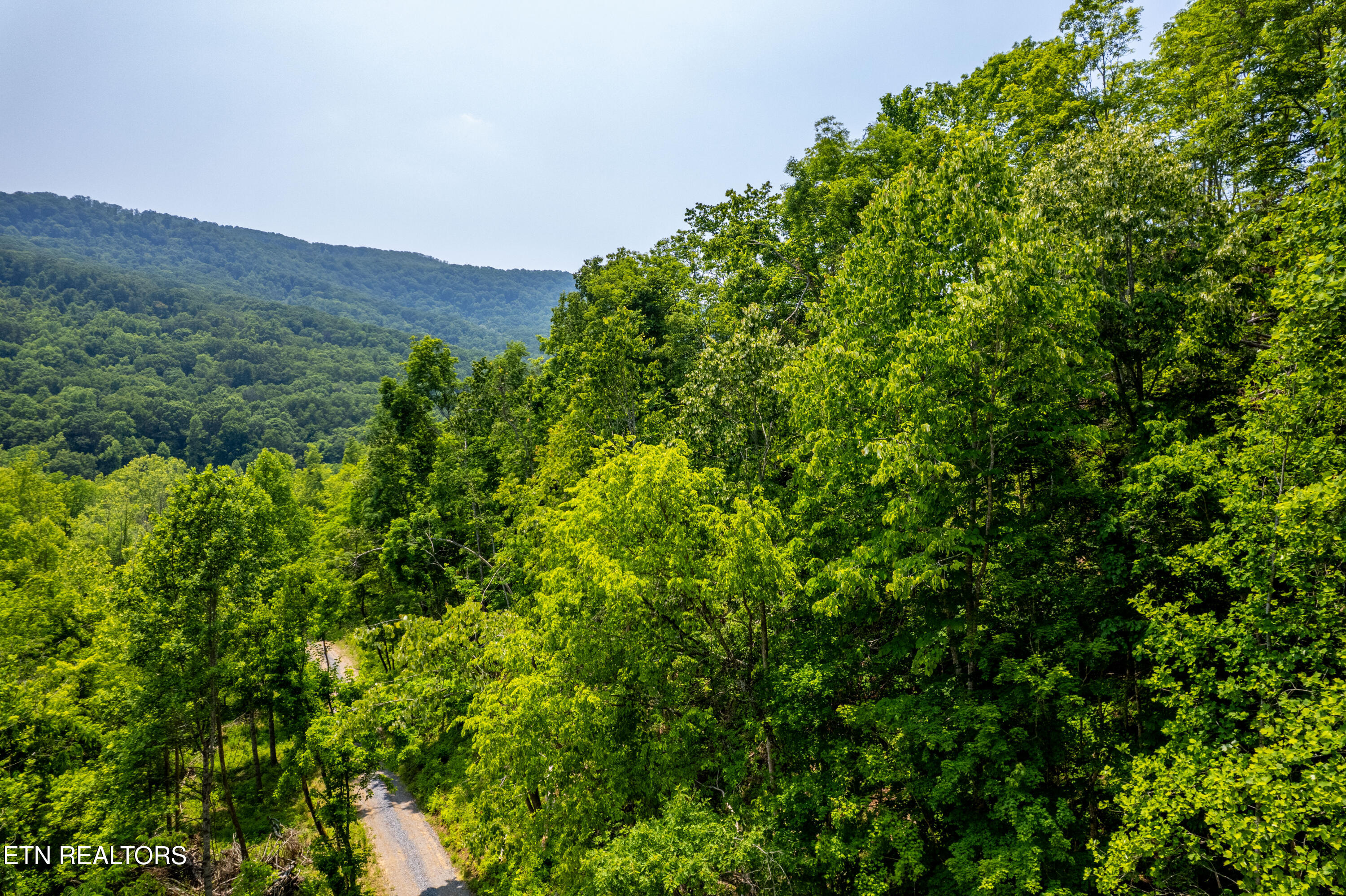 Beech Creek Road Rogersville, TN 37857 - Photo 26 of 35 BeechCreekRd-43