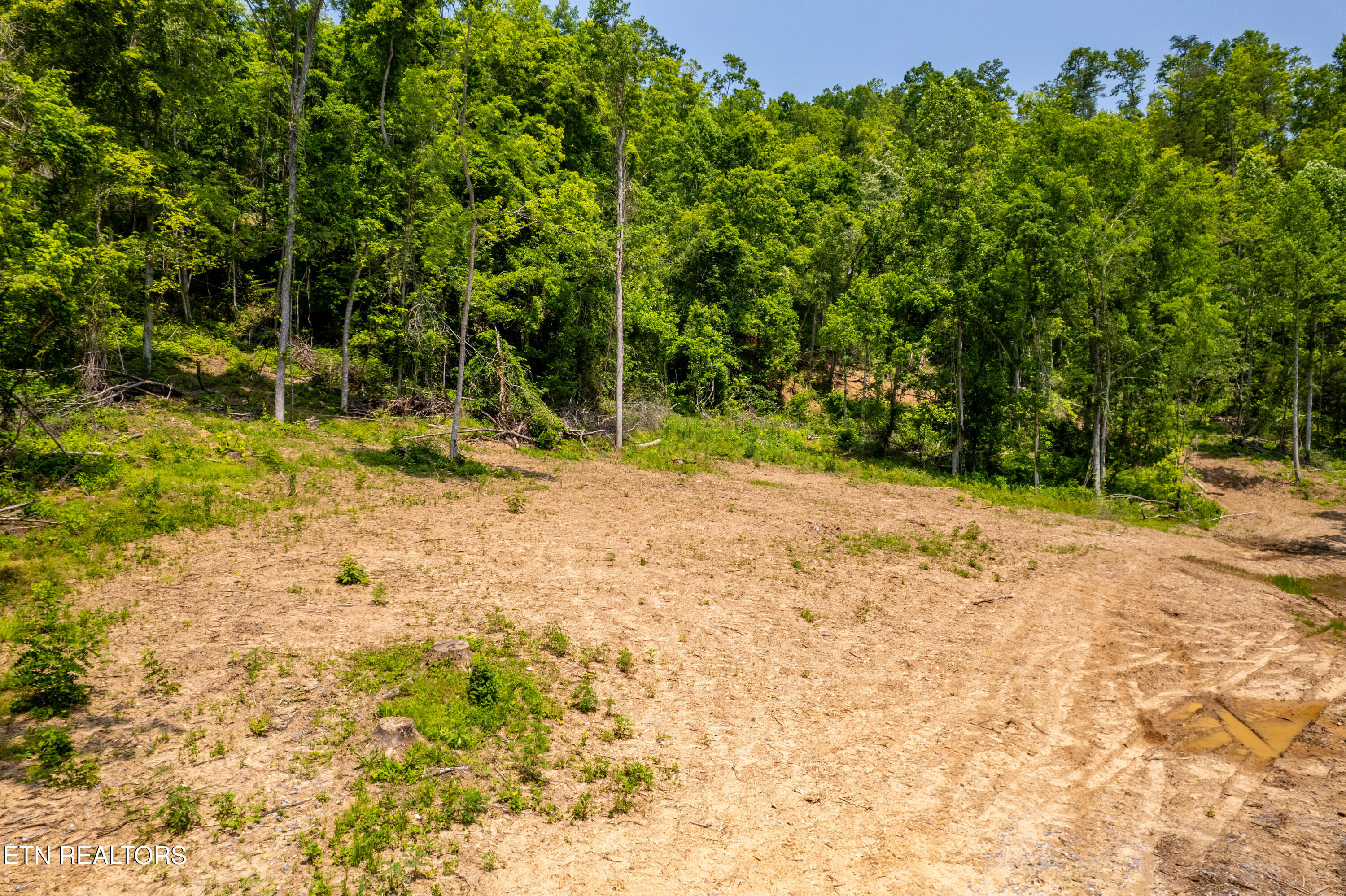 Beech Creek Road Rogersville, TN 37857 - Photo 4 of 35 BeechCreekRd-2
