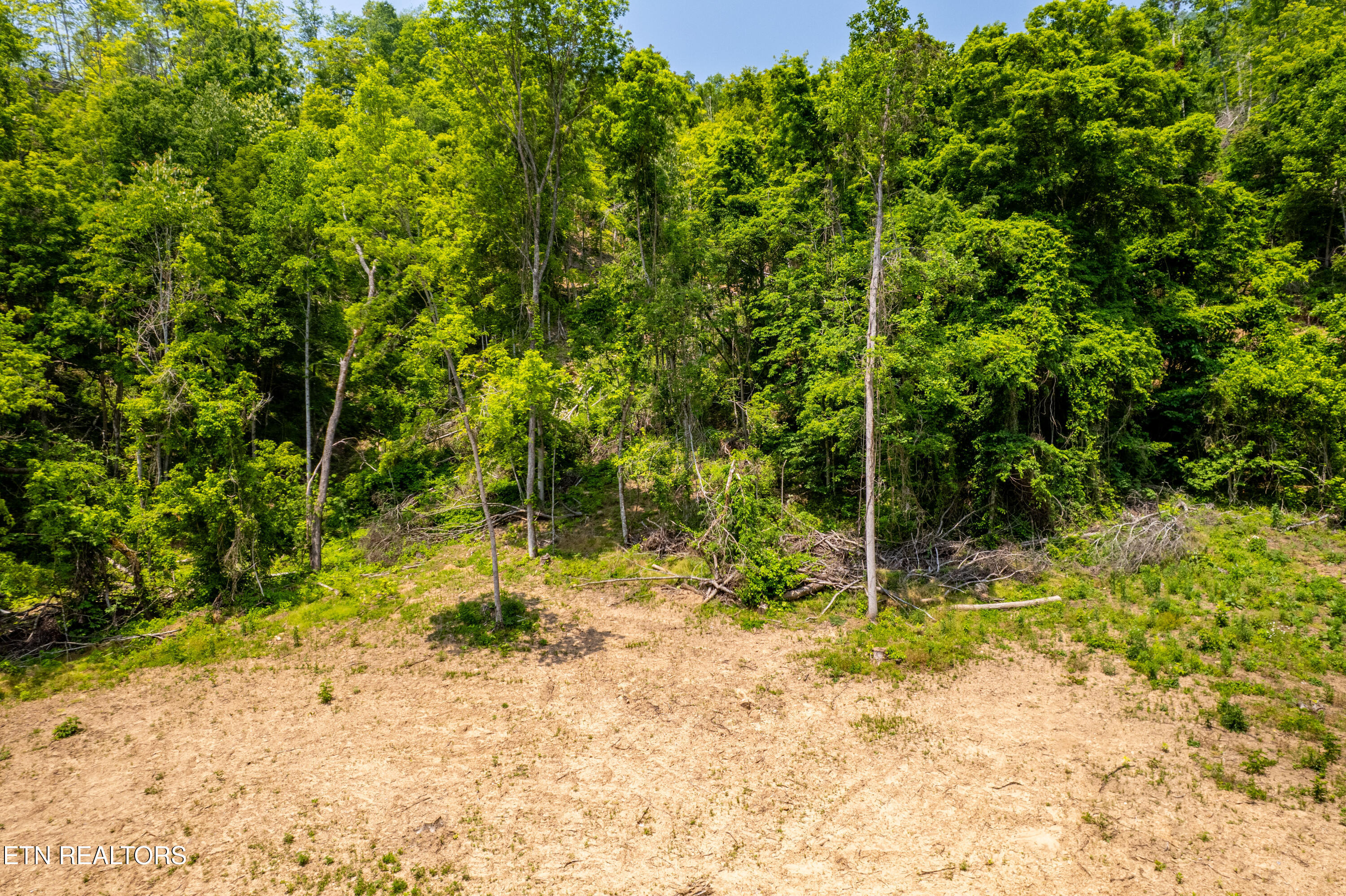 Beech Creek Road Rogersville, TN 37857 - Photo 5 of 35 BeechCreekRd-3