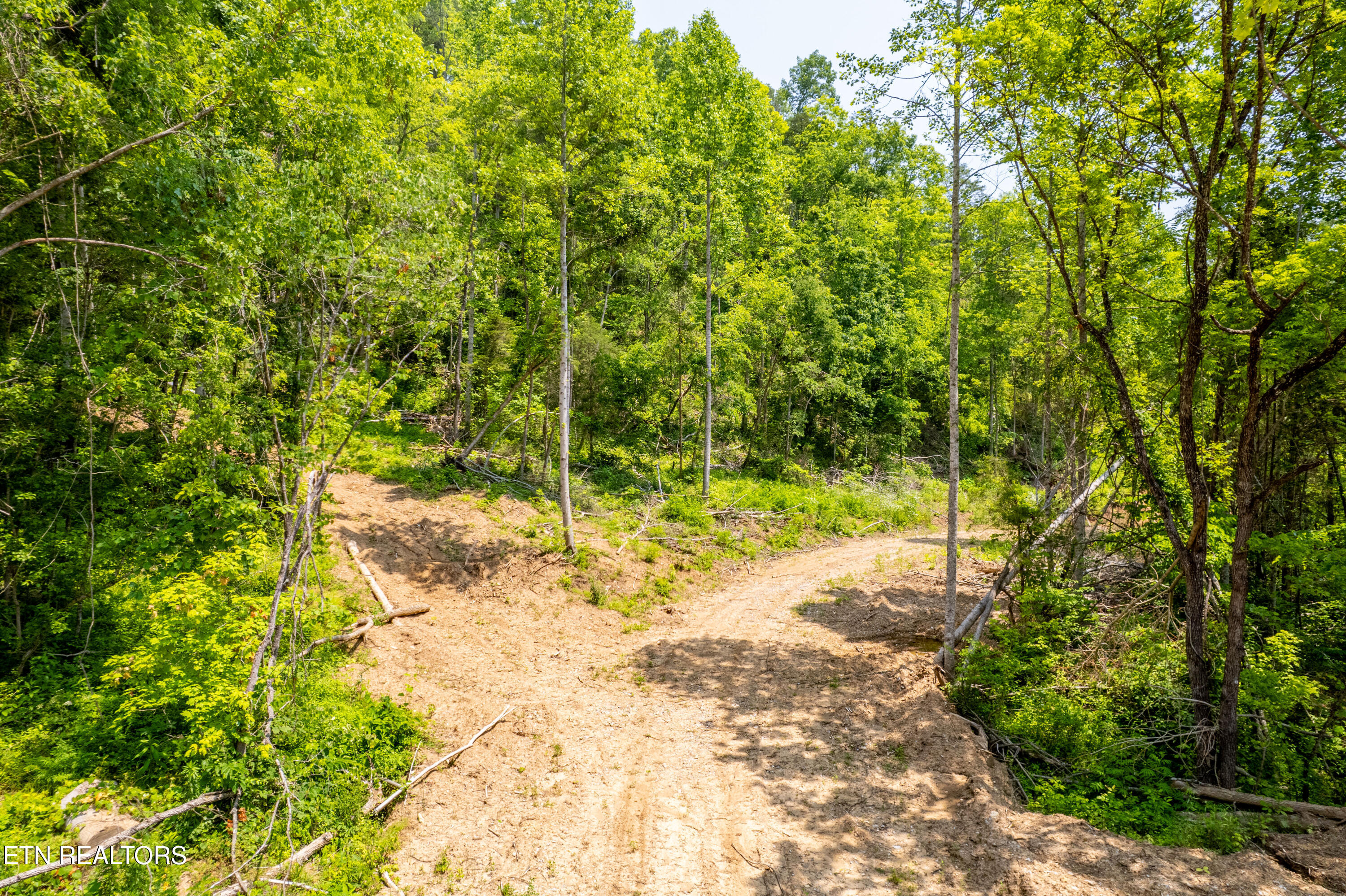 Beech Creek Road Rogersville, TN 37857 - Photo 6 of 35 BeechCreekRd-4